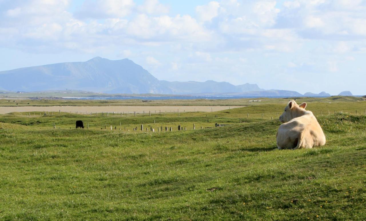 Stripe Bay Lejlighed Belmullet Eksteriør billede